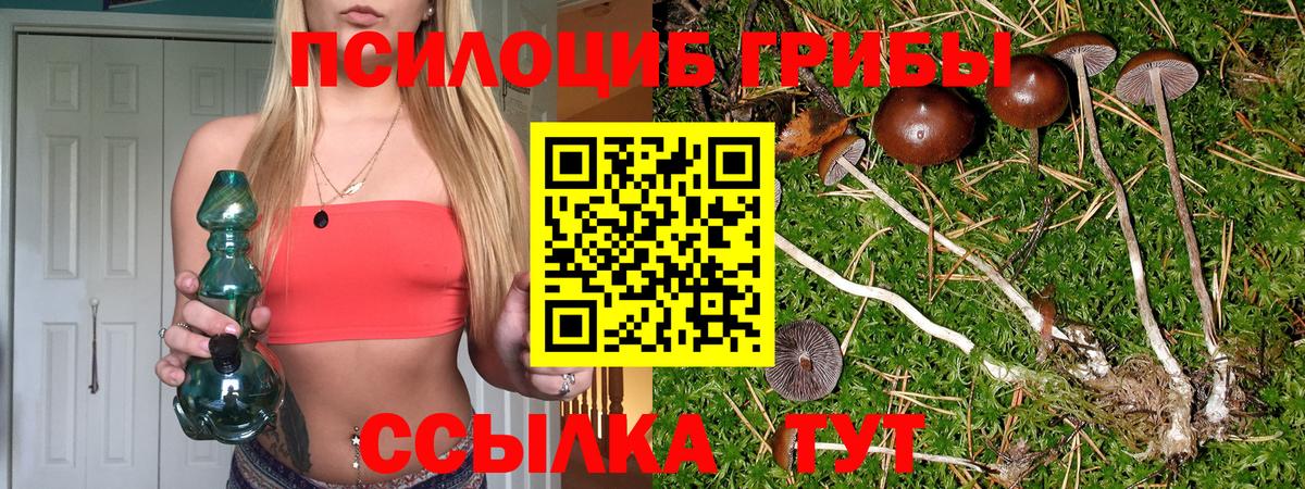 Псилоцибиновые грибы мицелий Советский