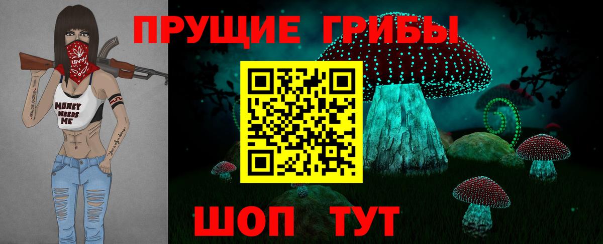Псилоцибиновые грибы GOLDEN TEACHER  Галлюциногенные грибы Cubensis  Советский  Вход с VPN 